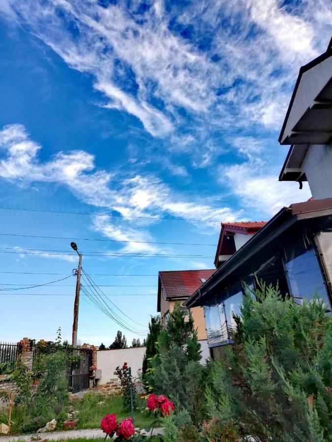 Casa Alba Năvodari Exterior foto