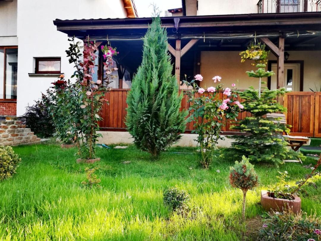Casa Alba Năvodari Exterior foto