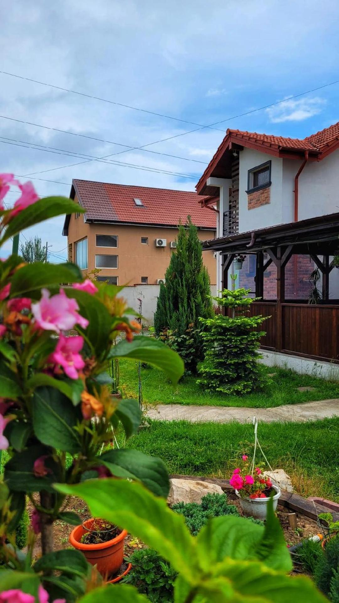 Casa Alba Năvodari Exterior foto