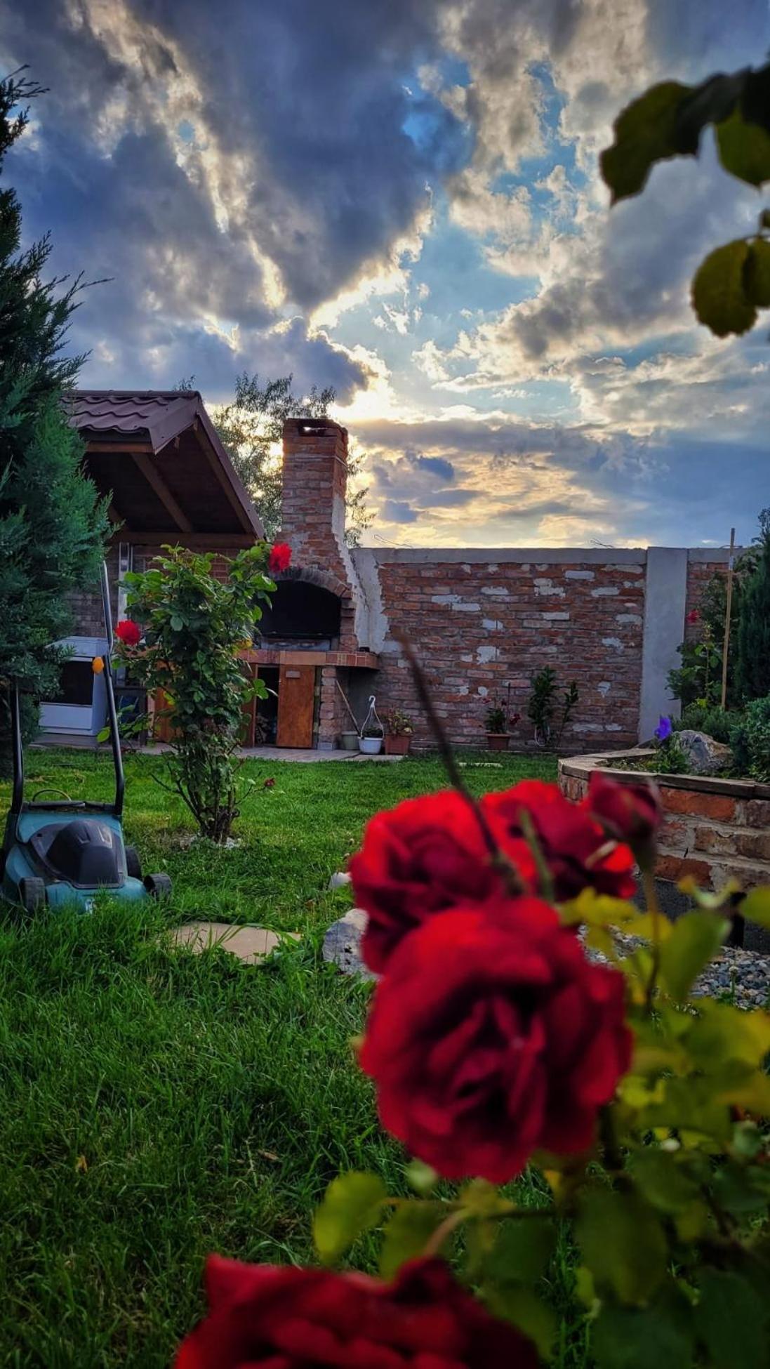Casa Alba Năvodari Exterior foto