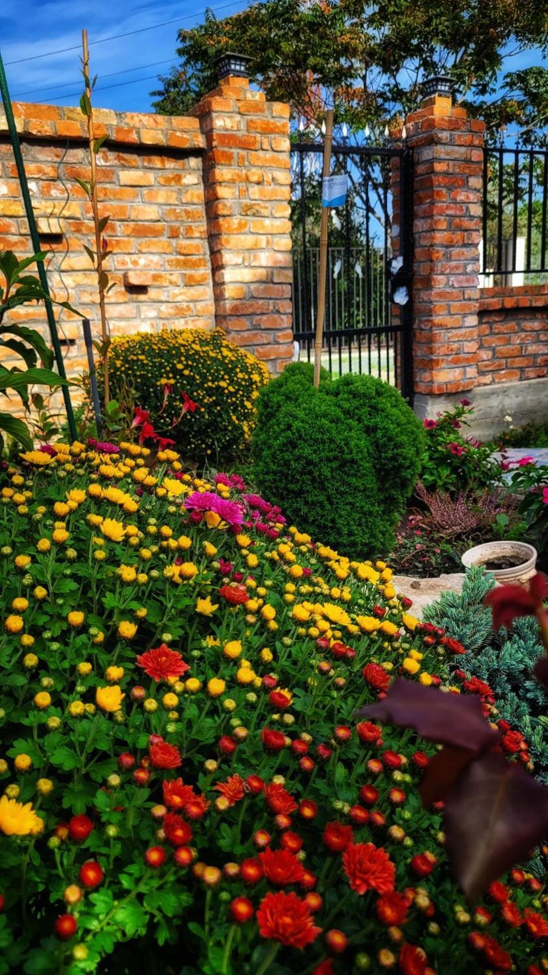 Casa Alba Năvodari Exterior foto