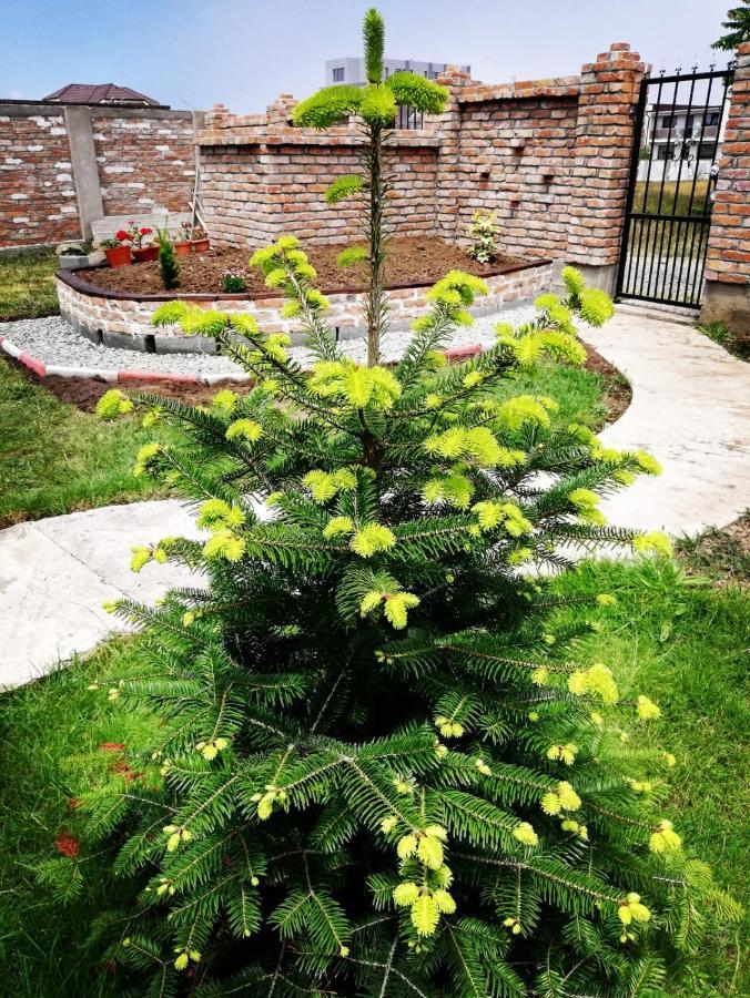 Casa Alba Năvodari Exterior foto